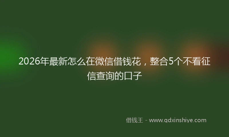 2026年最新怎么在微信借钱花，整合5个不看征信查询的口子