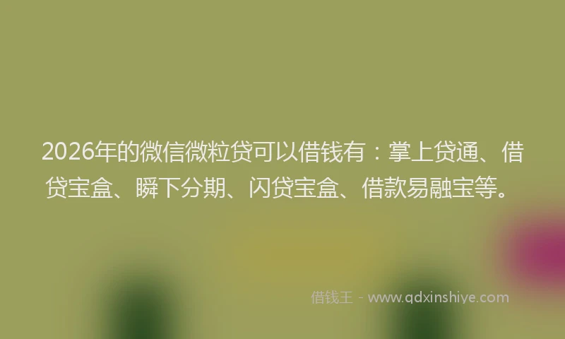 2026年的微信微粒贷可以借钱有：掌上贷通、借贷宝盒、瞬下分期、闪贷宝盒、借款易融宝等。