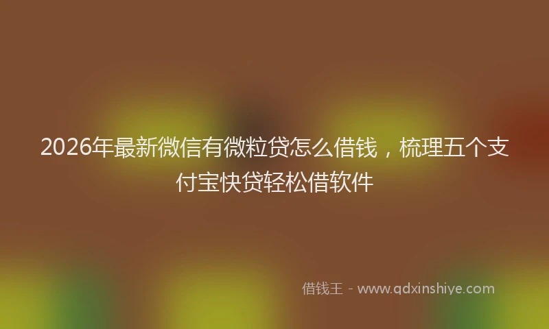 2026年最新微信有微粒贷怎么借钱，梳理五个支付宝快贷轻松借软件