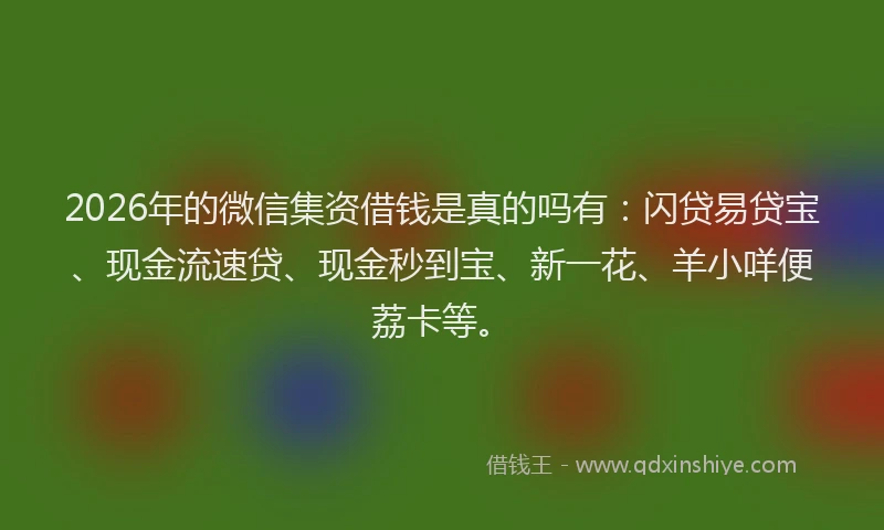 2026年的微信集资借钱是真的吗有：闪贷易贷宝、现金流速贷、现金秒到宝、新一花、羊小咩便荔卡等。