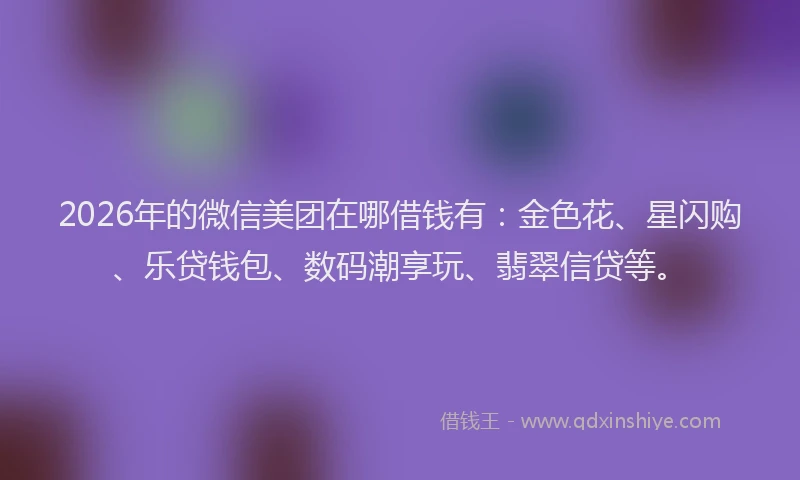 2026年的微信美团在哪借钱有：金色花、星闪购、乐贷钱包、数码潮享玩、翡翠信贷等。