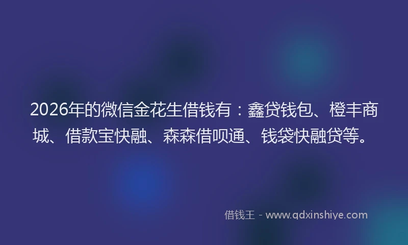 2026年的微信金花生借钱有：鑫贷钱包、橙丰商城、借款宝快融、森森借呗通、钱袋快融贷等。
