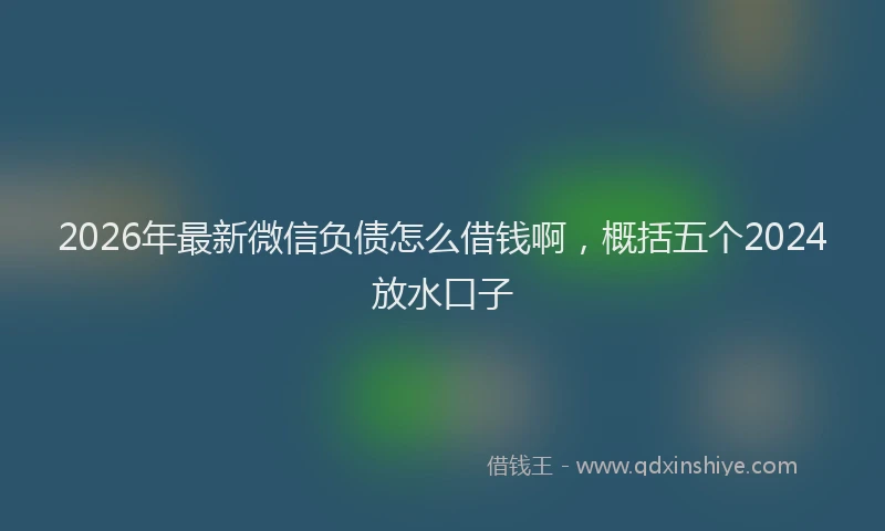 2026年最新微信负债怎么借钱啊，概括五个2024放水口子