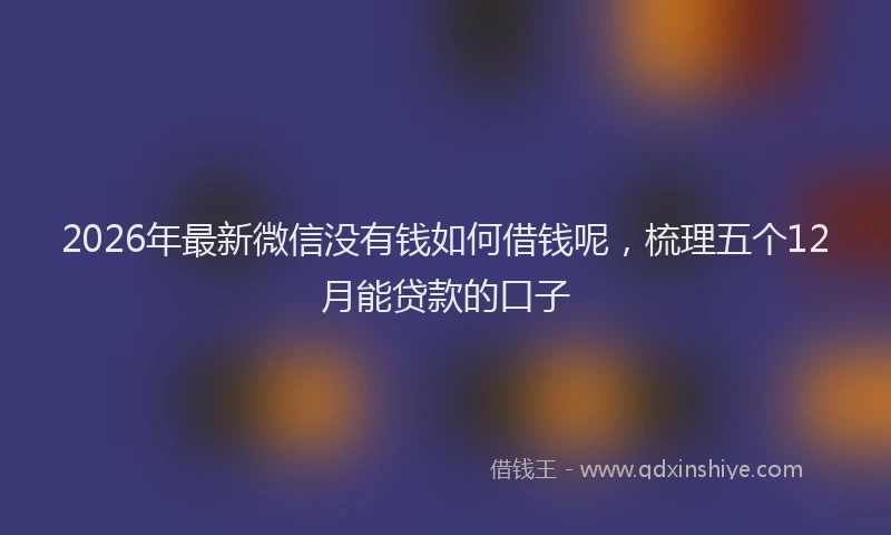 2026年最新微信没有钱如何借钱呢，梳理五个12月能贷款的口子