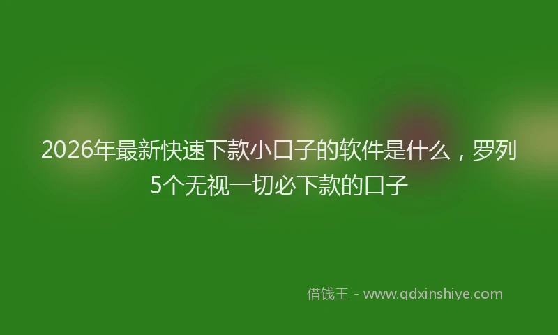 2026年最新快速下款小口子的软件是什么，罗列5个无视一切必下款的口子