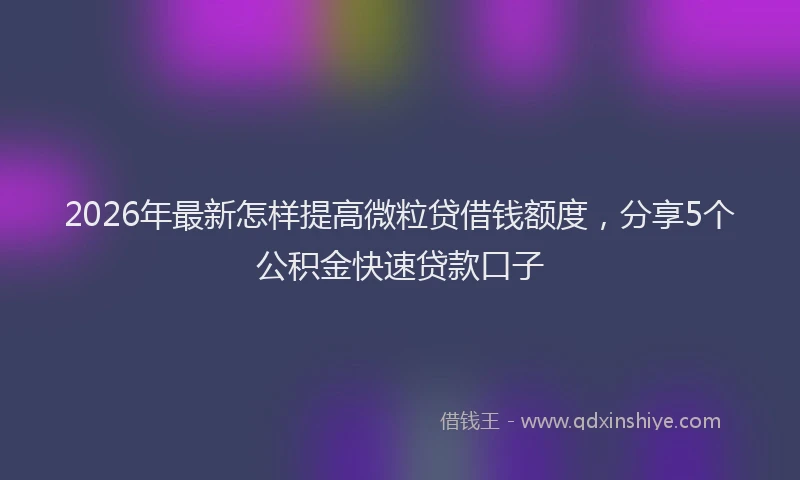 2026年最新怎样提高微粒贷借钱额度，分享5个公积金快速贷款口子