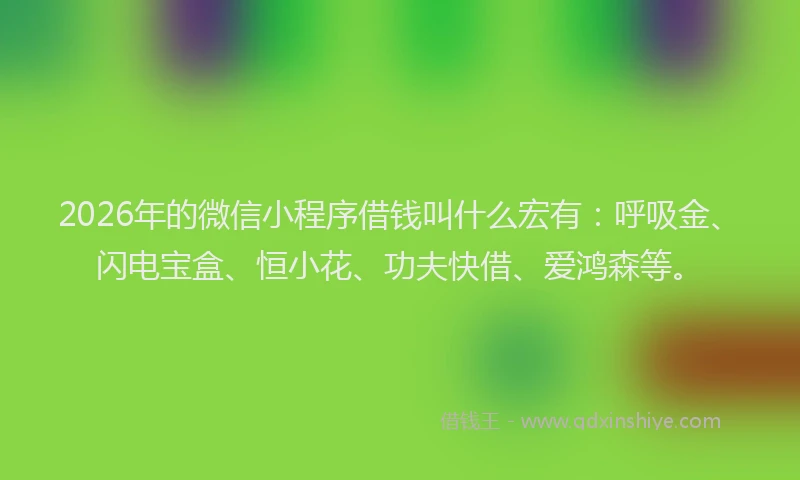 2026年的微信小程序借钱叫什么宏有：呼吸金、闪电宝盒、恒小花、功夫快借、爱鸿森等。