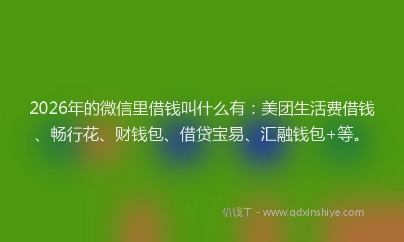 2026年的微信里借钱叫什么有：美团生活费借钱、畅行花、财钱包、借贷宝易、汇融钱包+等。