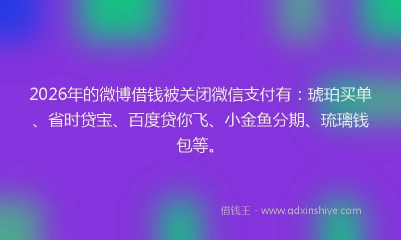 2026年的微博借钱被关闭微信支付有：琥珀买单、省时贷宝、百度贷你飞、小金鱼分期、琉璃钱包等。