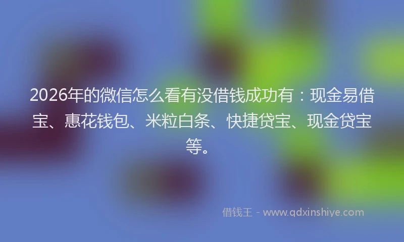 2026年的微信怎么看有没借钱成功有：现金易借宝、惠花钱包、米粒白条、快捷贷宝、现金贷宝等。