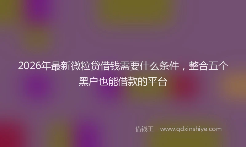 2026年最新微粒贷借钱需要什么条件，整合五个黑户也能借款的平台