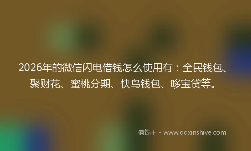 2026年的微信闪电借钱怎么使用有：全民钱包、聚财花、蜜桃分期、快鸟钱包、哆宝贷等。