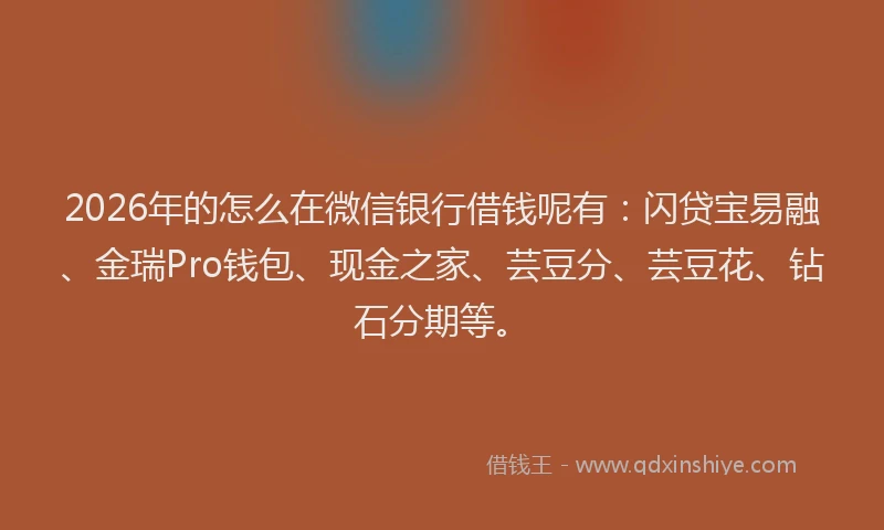 2026年的怎么在微信银行借钱呢有：闪贷宝易融、金瑞Pro钱包、现金之家、芸豆分、芸豆花、钻石分期等。