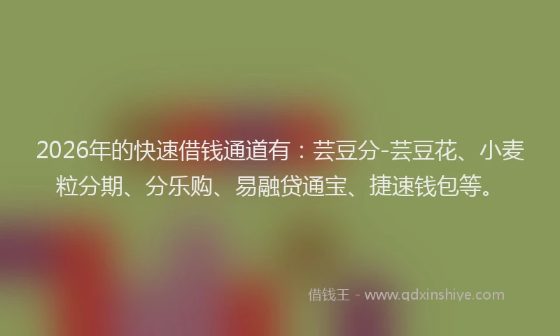 2026年的快速借钱通道有：芸豆分-芸豆花、小麦粒分期、分乐购、易融贷通宝、捷速钱包等。