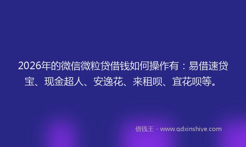 2026年的微信微粒贷借钱如何操作有：易借速贷宝、现金超人、安逸花、来租呗、宜花呗等。