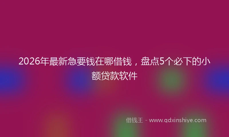 2026年最新急要钱在哪借钱，盘点5个必下的小额贷款软件