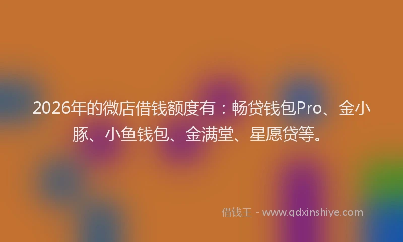 2026年的微店借钱额度有：畅贷钱包Pro、金小豚、小鱼钱包、金满堂、星愿贷等。