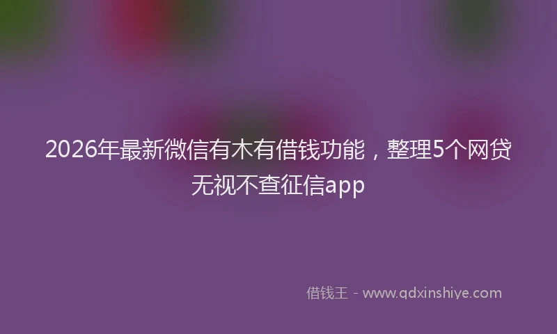 2026年最新微信有木有借钱功能，整理5个网贷无视不查征信app
