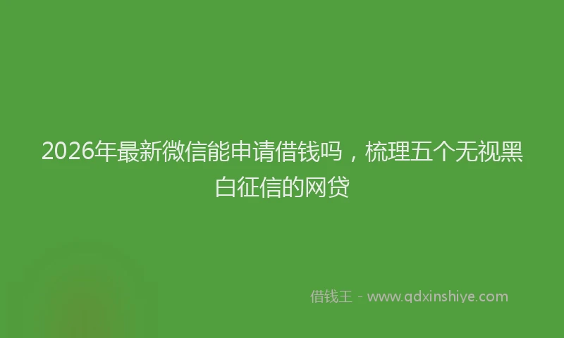 2026年最新微信能申请借钱吗，梳理五个无视黑白征信的网贷