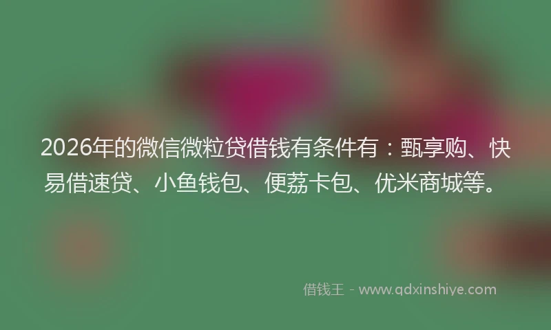 2026年的微信微粒贷借钱有条件有：甄享购、快易借速贷、小鱼钱包、便荔卡包、优米商城等。