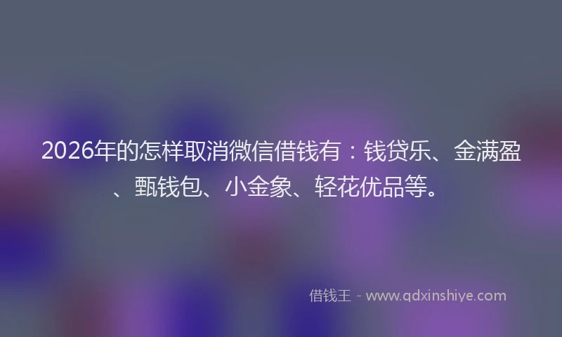 2026年的怎样取消微信借钱有：钱贷乐、金满盈、甄钱包、小金象、轻花优品等。