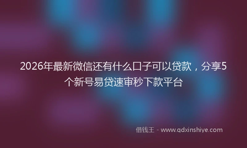 2026年最新微信还有什么口子可以贷款，分享5个新号易贷速审秒下款平台