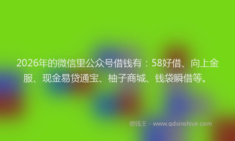 2026年的微信里公众号借钱有：58好借、向上金服、现金易贷通宝、柚子商城、钱袋瞬借等。