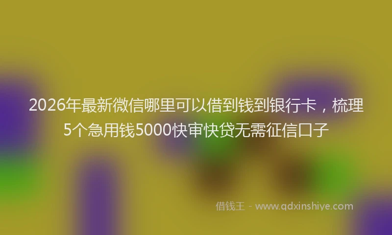 2026年最新微信哪里可以借到钱到银行卡，梳理5个急用钱5000快审快贷无需征信口子