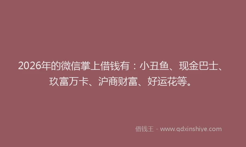 2026年的微信掌上借钱有：小丑鱼、现金巴士、玖富万卡、沪商财富、好运花等。