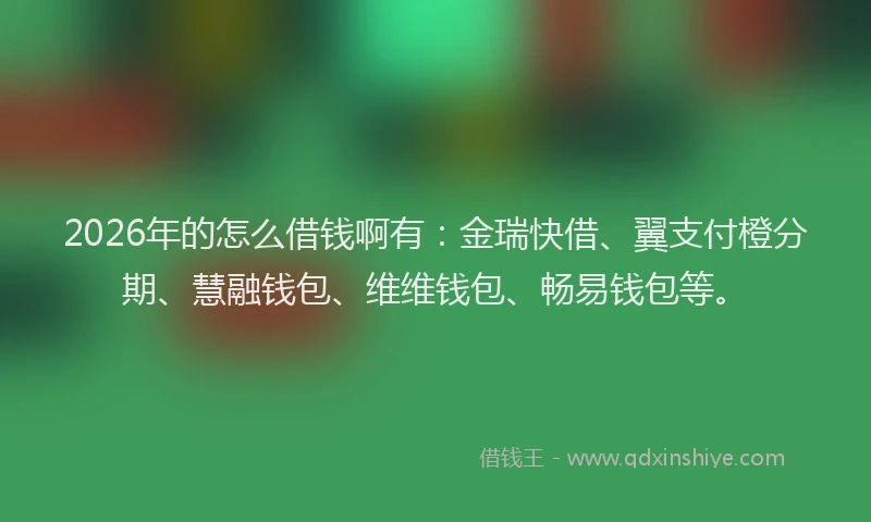 2026年的怎么借钱啊有：金瑞快借、翼支付橙分期、慧融钱包、维维钱包、畅易钱包等。