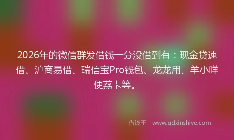 2026年的微信群发借钱一分没借到有：现金贷速借、沪商易借、瑞信宝Pro钱包、龙龙用、羊小咩便荔卡等。