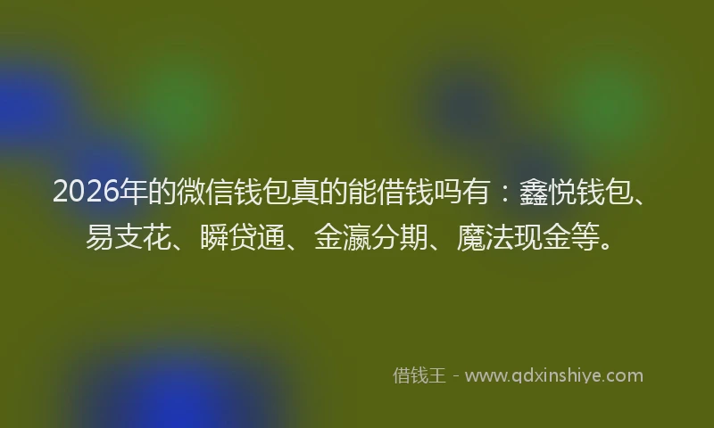 2026年的微信钱包真的能借钱吗有：鑫悦钱包、易支花、瞬贷通、金瀛分期、魔法现金等。