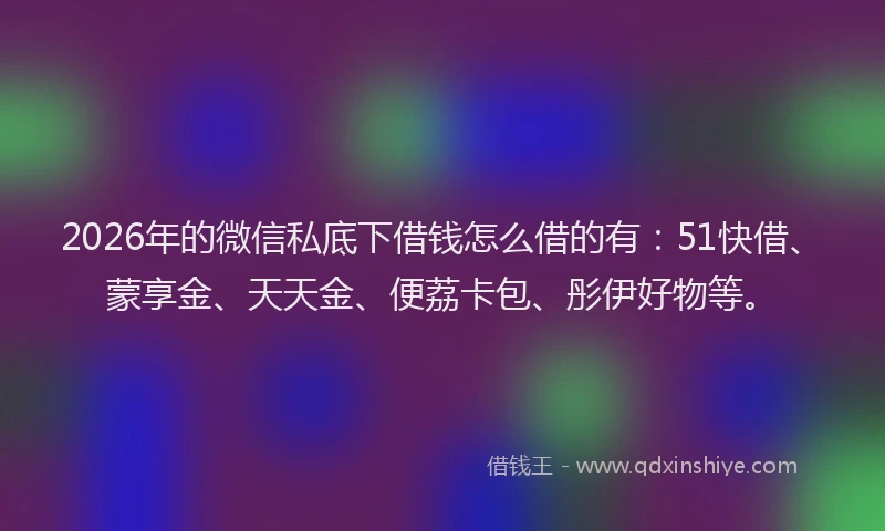 2026年的微信私底下借钱怎么借的有：51快借、蒙享金、天天金、便荔卡包、彤伊好物等。