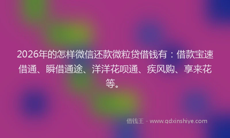 2026年的怎样微信还款微粒贷借钱有：借款宝速借通、瞬借通途、洋洋花呗通、疾风购、享来花等。