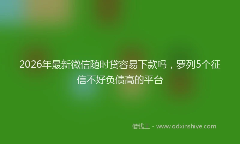 2026年最新微信随时贷容易下款吗，罗列5个征信不好负债高的平台