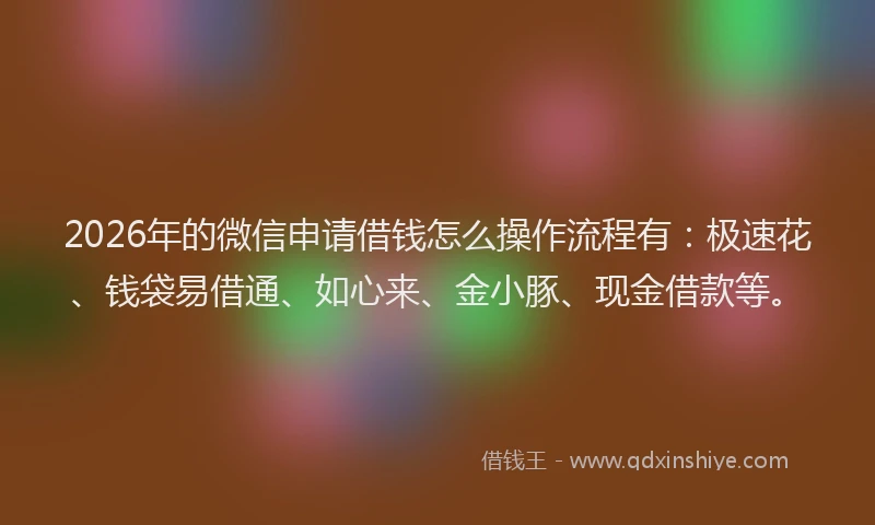 2026年的微信申请借钱怎么操作流程有：极速花、钱袋易借通、如心来、金小豚、现金借款等。
