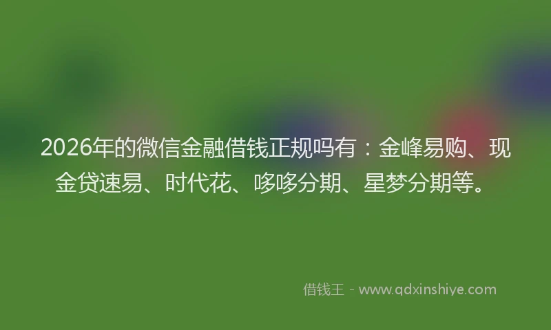 2026年的微信金融借钱正规吗有：金峰易购、现金贷速易、时代花、哆哆分期、星梦分期等。