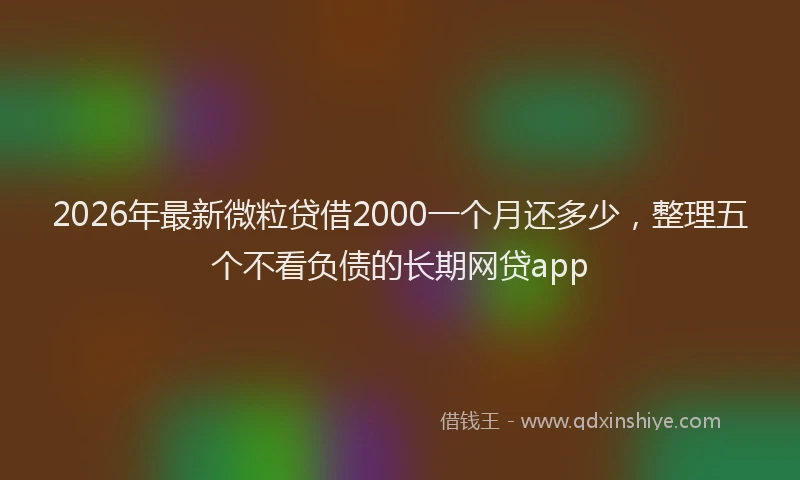 2026年最新微粒贷借2000一个月还多少，整理五个不看负债的长期网贷app