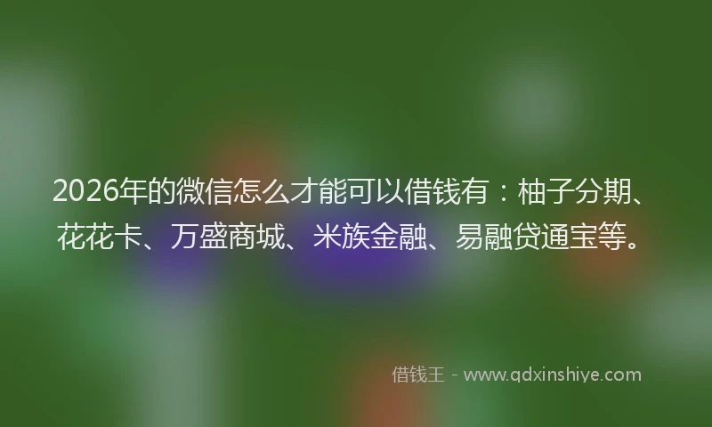 2026年的微信怎么才能可以借钱有：柚子分期、花花卡、万盛商城、米族金融、易融贷通宝等。