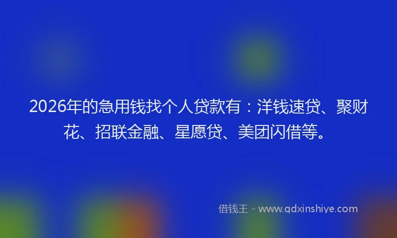 2026年的急用钱找个人贷款有：洋钱速贷、聚财花、招联金融、星愿贷、美团闪借等。
