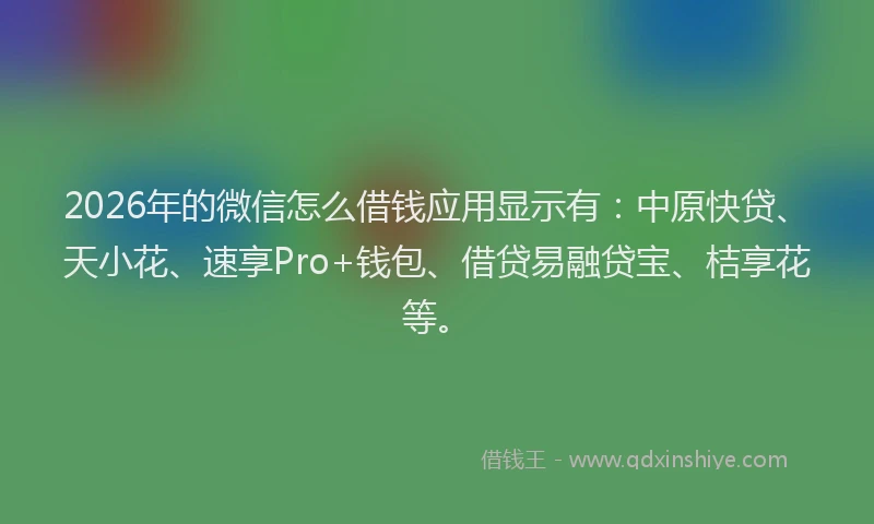 2026年的微信怎么借钱应用显示有：中原快贷、天小花、速享Pro+钱包、借贷易融贷宝、桔享花等。