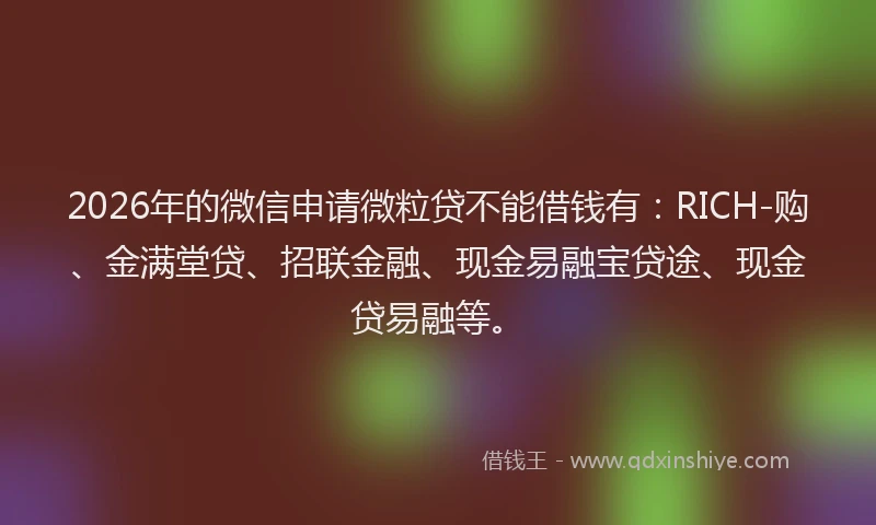 2026年的微信申请微粒贷不能借钱有：RICH-购、金满堂贷、招联金融、现金易融宝贷途、现金贷易融等。