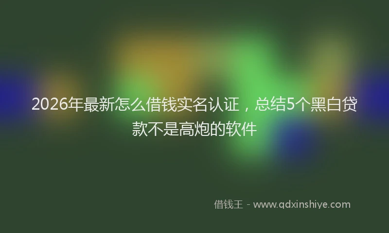 2026年最新怎么借钱实名认证，总结5个黑白贷款不是高炮的软件