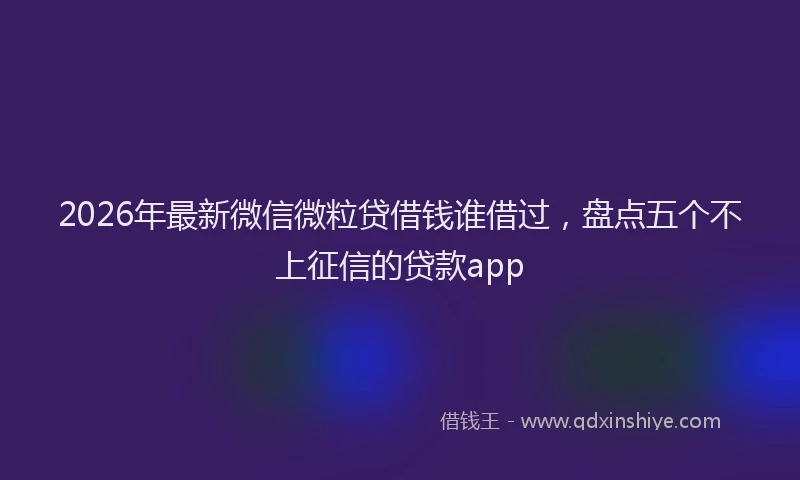 2026年最新微信微粒贷借钱谁借过，盘点五个不上征信的贷款app