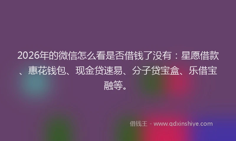 2026年的微信怎么看是否借钱了没有：星愿借款、惠花钱包、现金贷速易、分子贷宝盒、乐借宝融等。