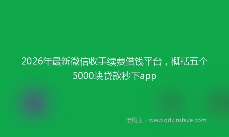 2026年最新微信收手续费借钱平台，概括五个5000块贷款秒下app