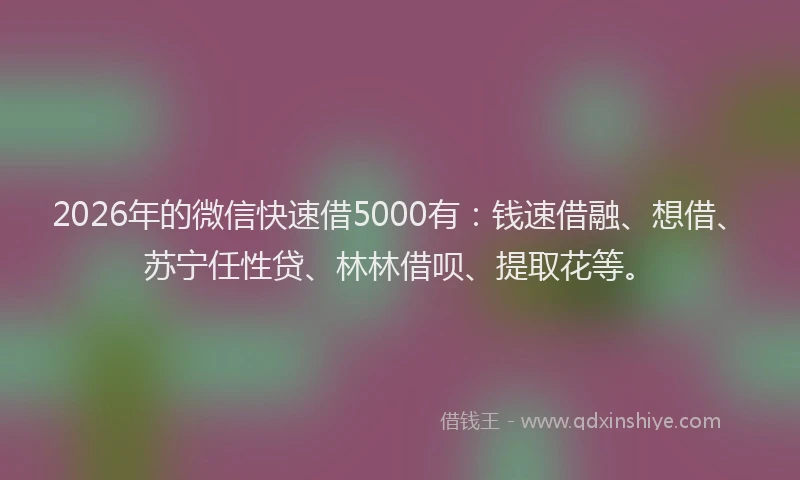 2026年的微信快速借5000有：钱速借融、想借、苏宁任性贷、林林借呗、提取花等。