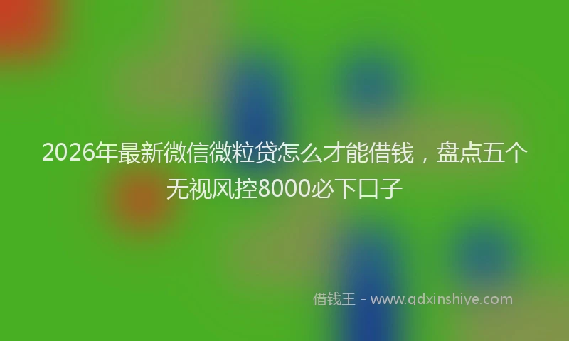2026年最新微信微粒贷怎么才能借钱，盘点五个无视风控8000必下口子