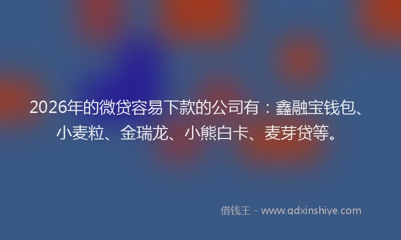 2026年的微贷容易下款的公司有：鑫融宝钱包、小麦粒、金瑞龙、小熊白卡、麦芽贷等。