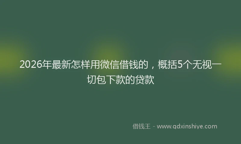 2026年最新怎样用微信借钱的,概括5个无视一切包下款的贷款